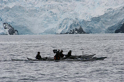Mit dem Kayak die Antarktis entdecken, eine Aktivität Ihrer Segelreise mit der Santa Maria Australis