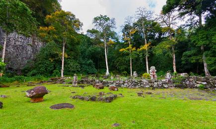 Green sculpture garden with trees and lush vegetation on Hiva Oa, French Polynesia