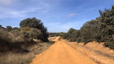 Jakobsweg "Camino Francés"