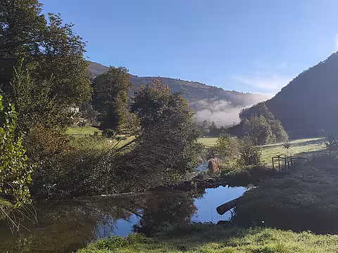 Grüne Landschaft mit Fluss auf dem Camino Francés