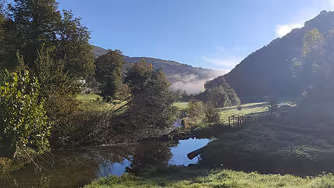 Green landscape with river on the Camino Francés