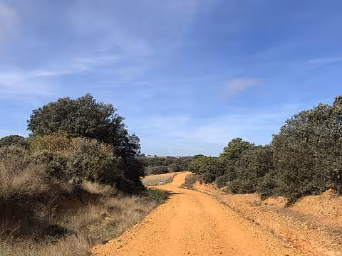 Feldweg in der Meseta auf dem Camino Francés