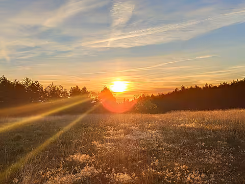 Sonnenaufgang auf dem Camino Francés